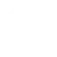 Globe Icon